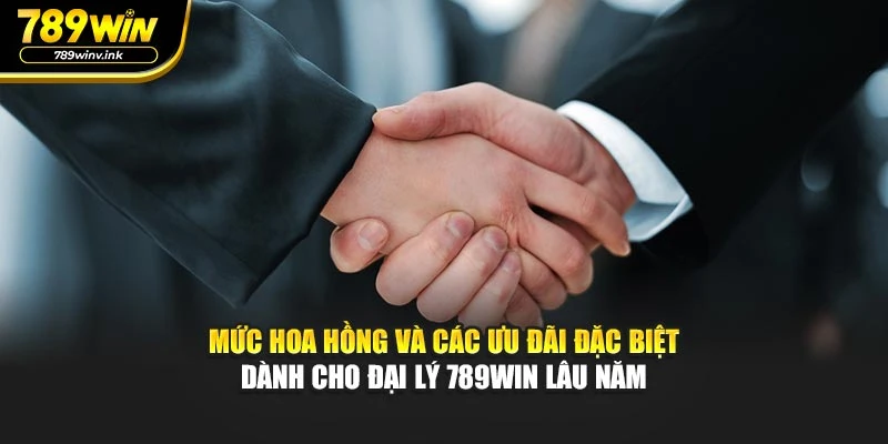 Mức hoa hồng và các ưu đãi đặc biệt dành cho đại lý 789WIN lâu năm