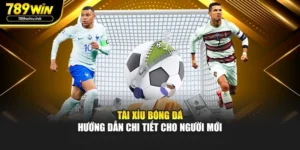 Tài Xỉu Bóng Đá - Hướng Dẫn Dành Cho Người Mới Bắt Đầu